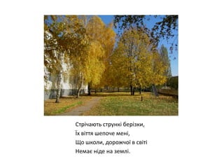 Стрічають стрункі берізки,
Їх віття шепоче мені,
Що школи, дорожчої в світі
Немає ніде на землі.

 