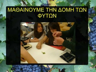 ΜΑΘΑΗΝΟΤΜΔ ΣΖΝ ΓΟΜΖ ΣΧΝ
ΦΤΣΧΝ

 