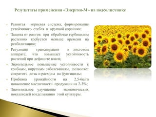  Развитая корневая система, формирование
устойчивого стебля и крупной корзинки;
 Защита от ожогов при обработке гербицидом
растению требуется меньше времени на
реабилитацию;
 Регуляция транспирации в листовом
аппарате, что повышает устойчивость
растений при дефиците влаги;
 Значительное повышение устойчивости к
грибным, вирусным заболеваниям, позволяет
сократить дозы и расходы на фунгициды;
 Прибавка урожайности на 2,5-6ц/га
повышение масличности продукции на 2-3%;
 Значительное улучшение экономических
показателей возделывания этой культуры.
Результаты применения «Энергия-М» на подсолнечнике
 