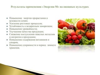Повышение энергии прорастания и
всхожести семян;
Усиление ростовых процессов;
Устойчивость к возвратным заморозкам;
Повышение урожайности;
Улучшение качества продукции;
Снижение поступления тяжелых металлов
и нитратов в продукцию;
Повышение содержания витаминов и
сахаров;
Повышение сохранности в период зимнего
хранения.
Результаты применения «Энергия-М» на овощных культурах
 
