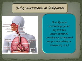 Πώς αναπνέουν οι άνθρωποι
Οι άνθρωποι
αναπνέουμε με τα
όργανα του
αναπνευστικού
συστήματος (στοματική
και ρινική κοιλότητα,
πνεύμονες, κ.ά.)

 