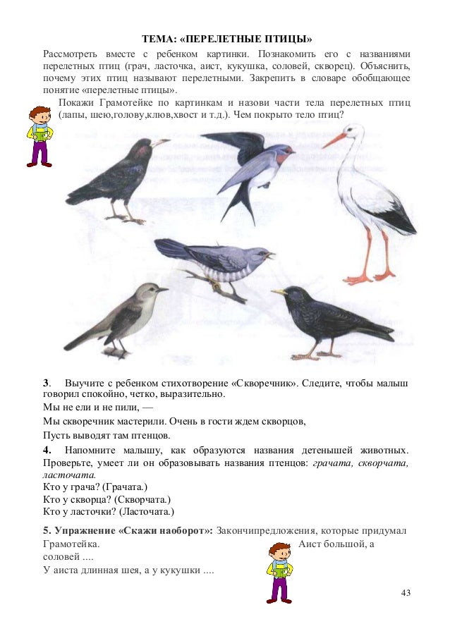 Уроки рисования для 5 класса ковшик в виде птицы