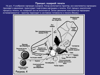 Принцип лазерной печати

На рис. 4 изображен картридж в разрезе. Когда включается принтер, все компоненты картриджа
приходят в движение: происходит подготовка картриджа к печати. Этот процесс аналогичен
процессу печати, но лазерный луч не включается. Затем движение компонентов картриджа
останавливаются – принтер переходит в состояние готовности к печати (Ready).

 
