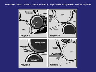 Нанесение тонера, перенос тонера на бумагу, закрепление изображения, очистка барабана.

 