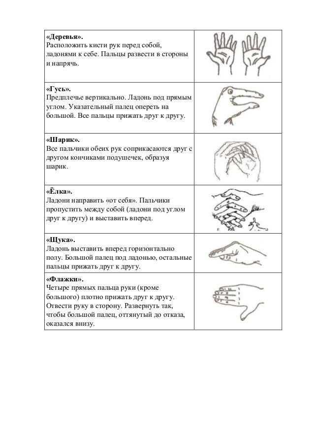 пальчиковая гимнастика