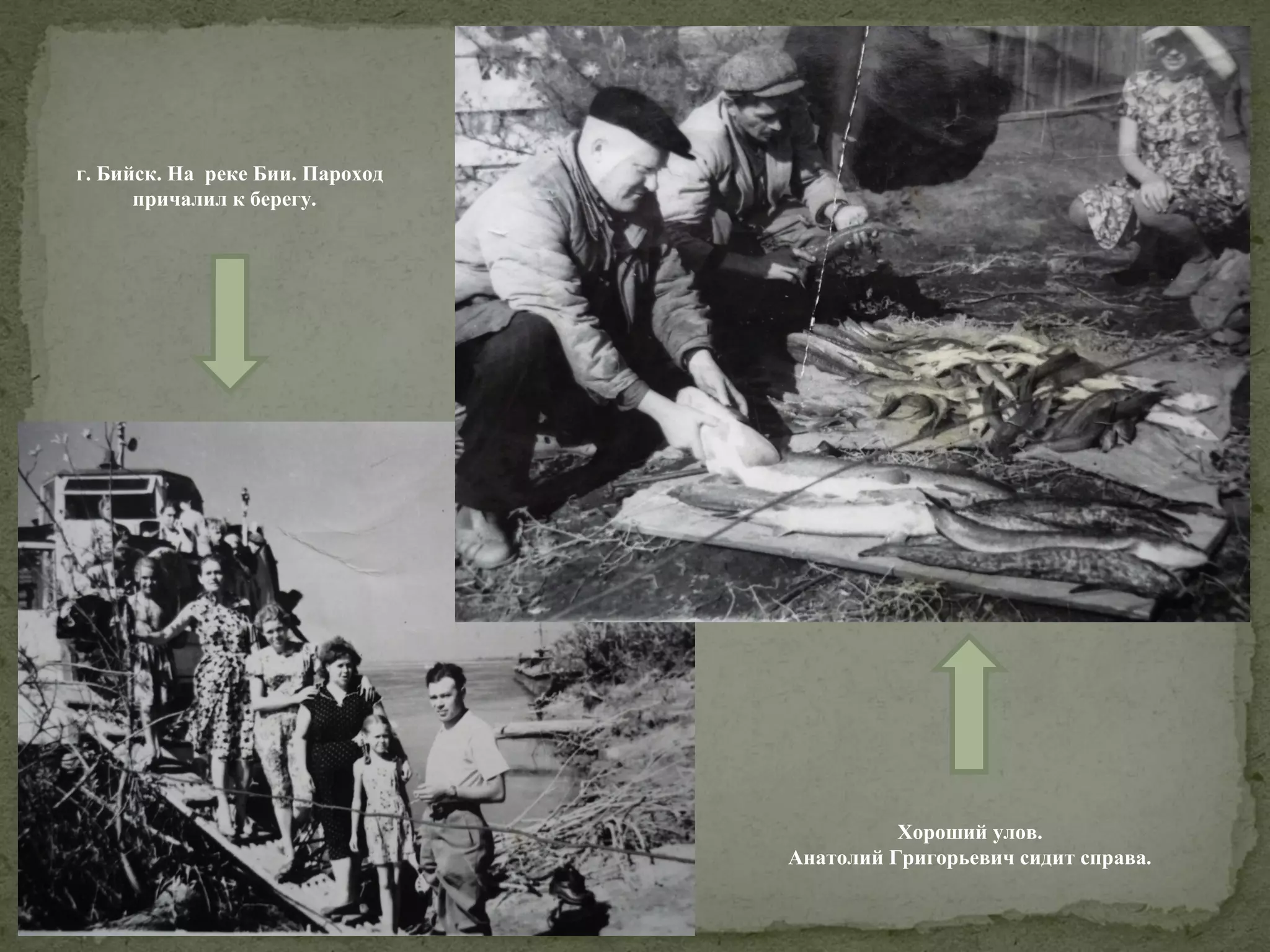 г. Бийск. На реке Бии. Пароход
причалил к берегу.

Хороший улов.
Анатолий Григорьевич сидит справа.

 