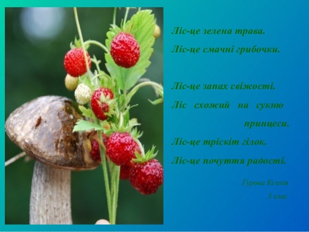 Пори року. Літо