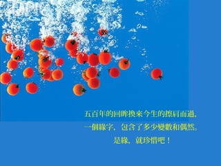 五百年的回眸換來今生的擦肩而過，
一個緣字，包含了多少變數和偶然。
是緣，就珍惜吧！

 