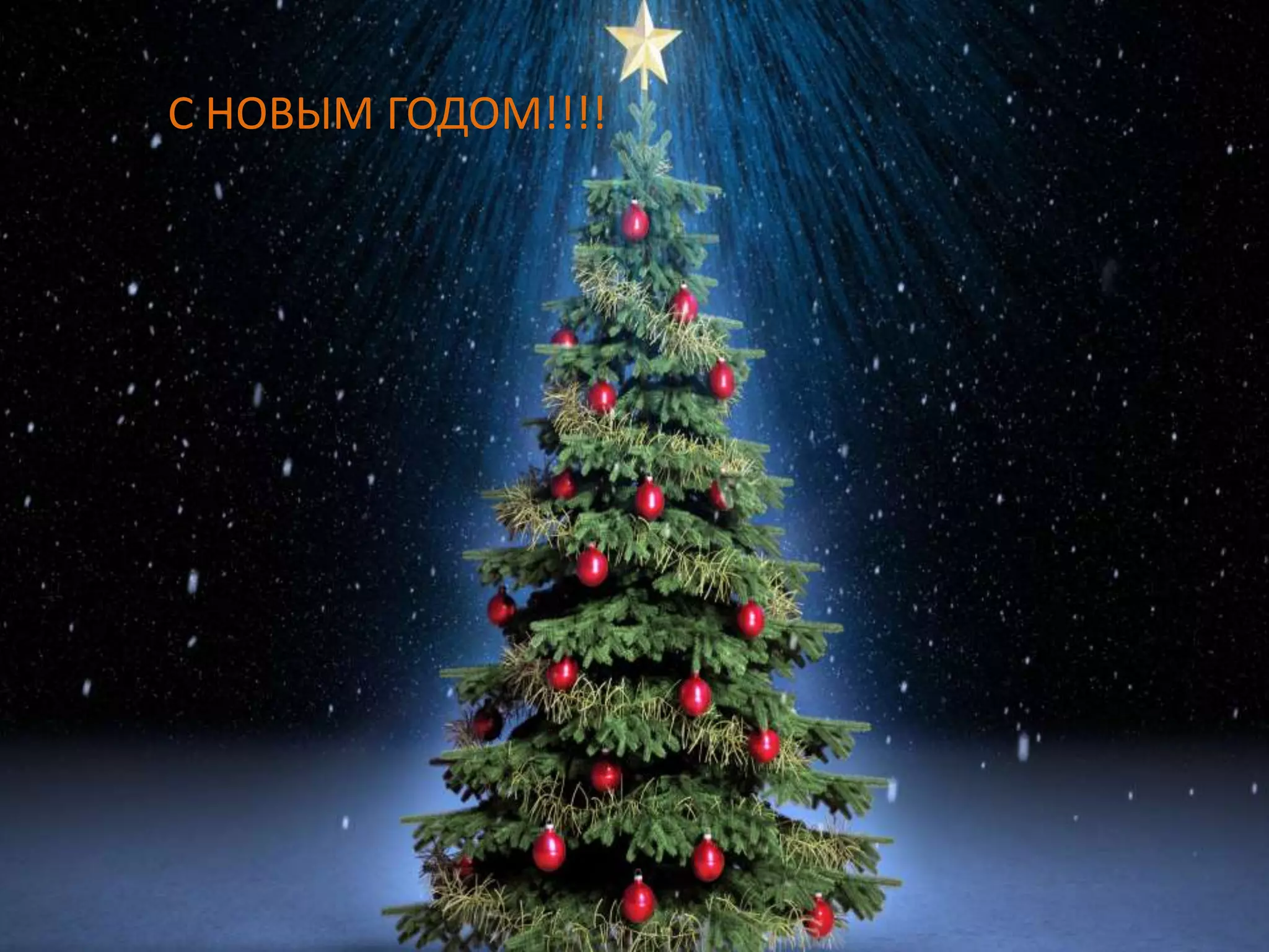 С НОВЫМ ГОДОМ!!!!
С НОВЫМ ГОДОМ!!

 