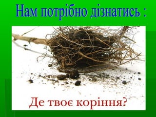 моя рідна сторона