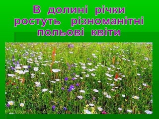 моя рідна сторона