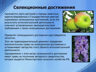 Селекционные достижения
признаются сорта растений и породы животных,
зарегистрированные в Государственном реестре
охраняемых селекционных достижений, если эти
результаты интеллектуальной деятельности
отвечают установленным законодательством
требованиям к таким селекционным достижениям.
Приоритет селекционного достижения удостоверяется
патентом.
Этот же правоохранительный документ определяет
исключительное право на селекционное достижение и
устанавливает авторство этого объекта интеллектуальной
деятельности.
Одновременно с этим автор селекционного достижения
имеет право на получение авторского свидетельства,
которое выдаѐтся Министерством сельского хозяйства РФ.

 