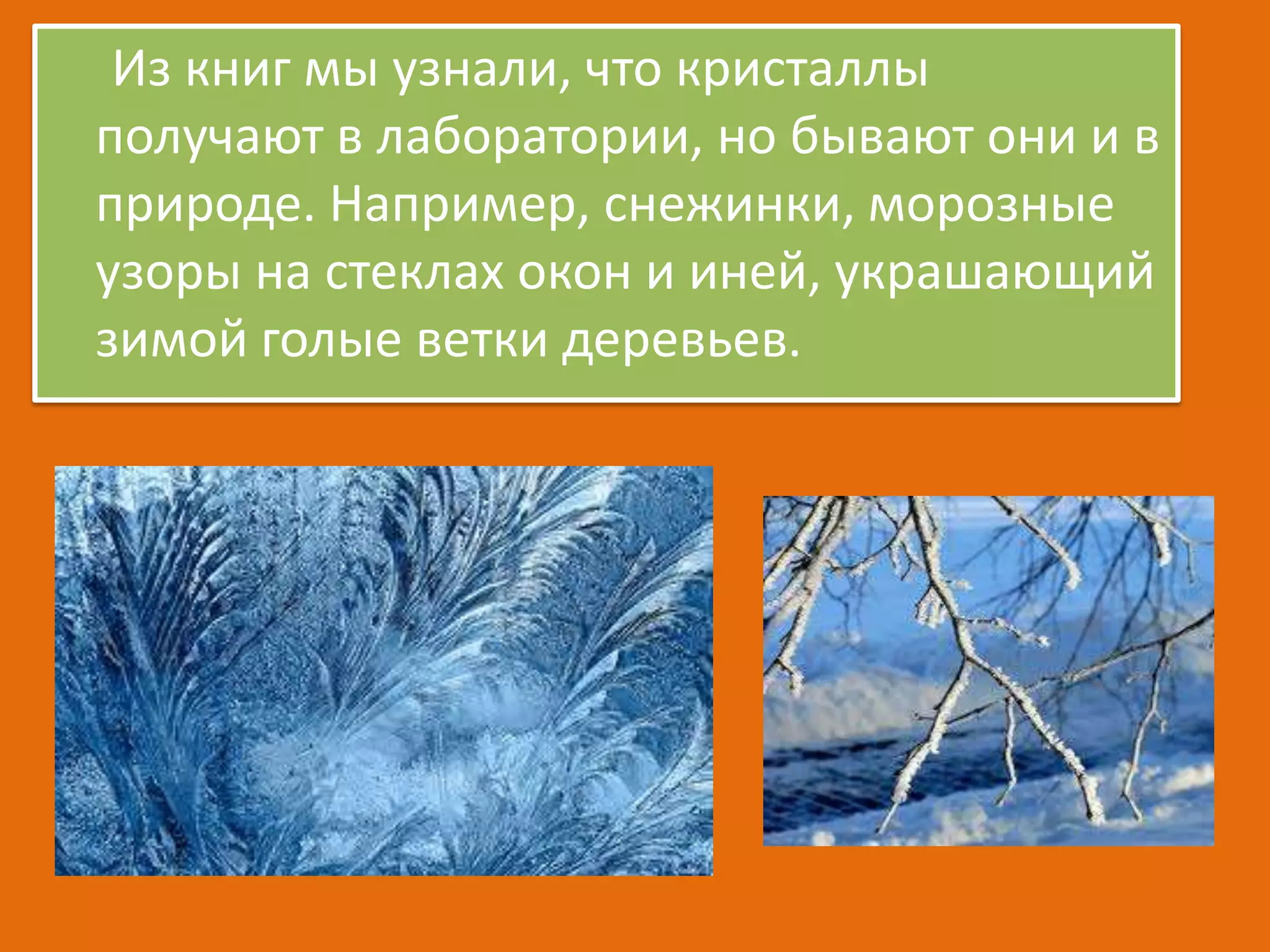 Из книг мы узнали, что кристаллы
получают в лаборатории, но бывают они и в
природе. Например, снежинки, морозные
узоры на стеклах окон и иней, украшающий
зимой голые ветки деревьев.

 