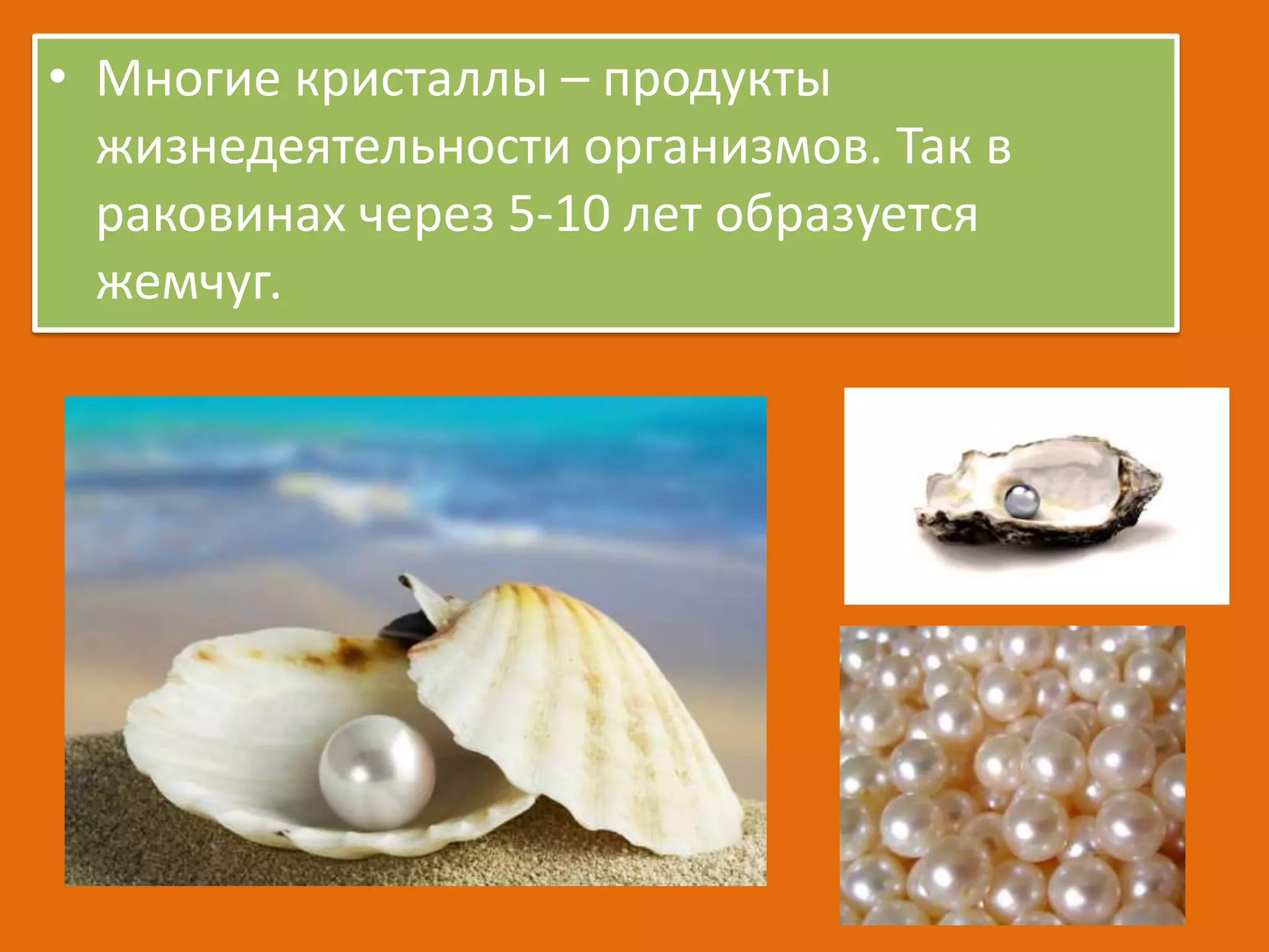 • Многие кристаллы – продукты
жизнедеятельности организмов. Так в
раковинах через 5-10 лет образуется
жемчуг.

 