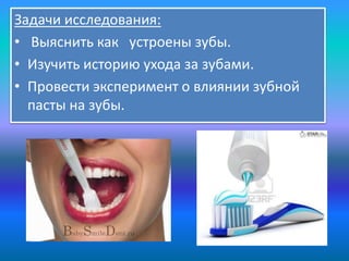 Задачи исследования:
• Выяснить как устроены зубы.
• Изучить историю ухода за зубами.
• Провести эксперимент о влиянии зуб...