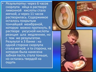 • Результаты: через 6 часов
скорлупа яйца в растворе
лимонной кислоты стала
мягкой, а через 11 часов
растворилась. Содержимое
осталось покрытым
тончайшей мембраной,
которую можно проткнуть. В
растворе уксусной кислоты
реакция шла медленнее, но
с тем же результатом.
Результат в 3 банке : на
одной стороне скорлупа
стала мягкой, а та сторона, на
которую была нанесена
зубная паста, стала тоньше,
но осталась твердой на
ощупь

 