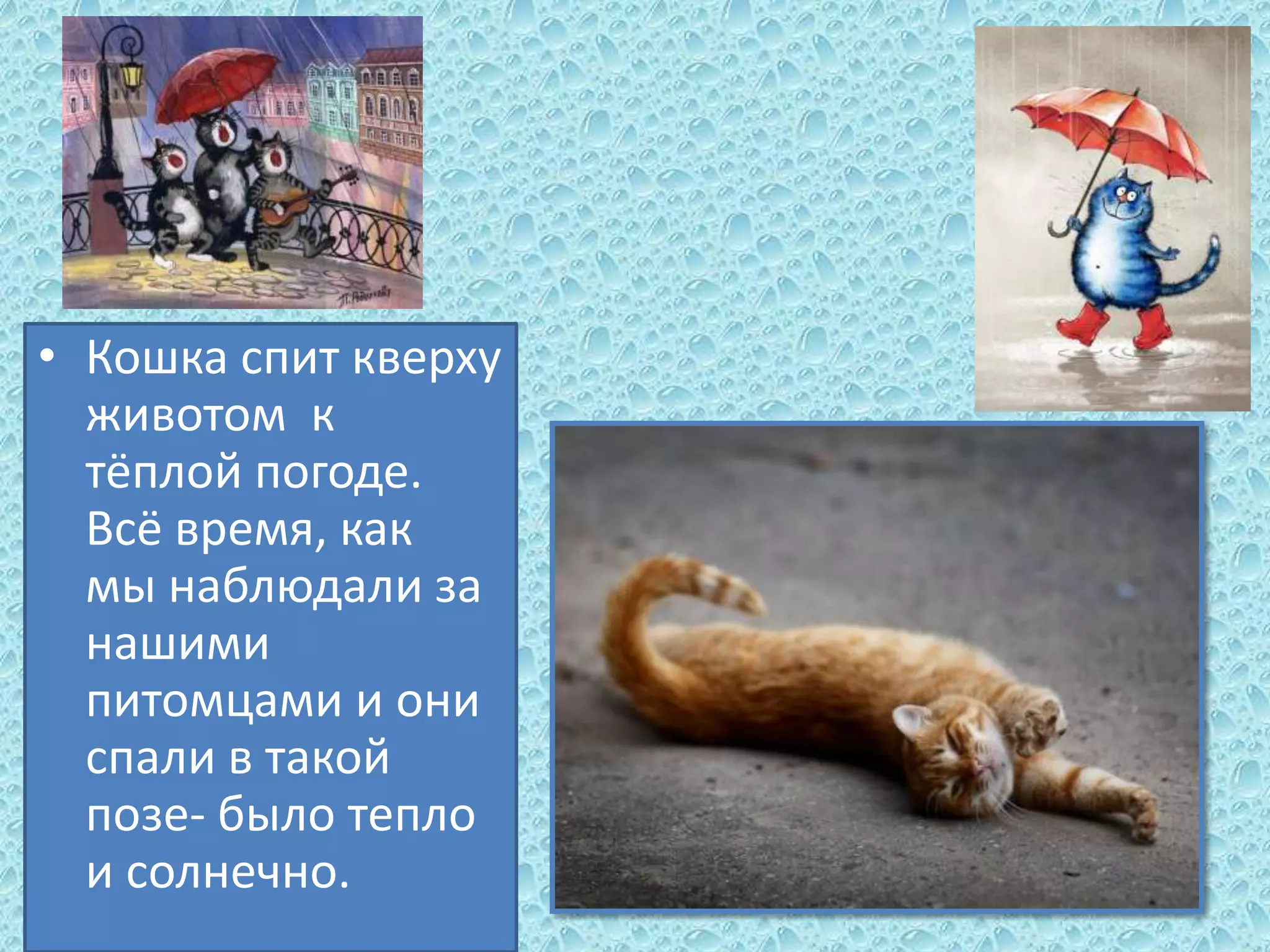 • Кошка спит кверху
животом к
тёплой погоде.
Всё время, как
мы наблюдали за
нашими
питомцами и они
спали в такой
позе- было тепло
и солнечно.

 