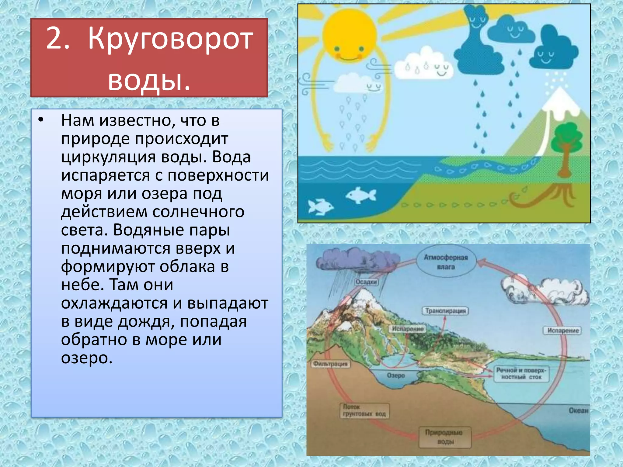 2. Круговорот
воды.
• Нам известно, что в
природе происходит
циркуляция воды. Вода
испаряется с поверхности
моря или озера под
действием солнечного
света. Водяные пары
поднимаются вверх и
формируют облака в
небе. Там они
охлаждаются и выпадают
в виде дождя, попадая
обратно в море или
озеро.

 