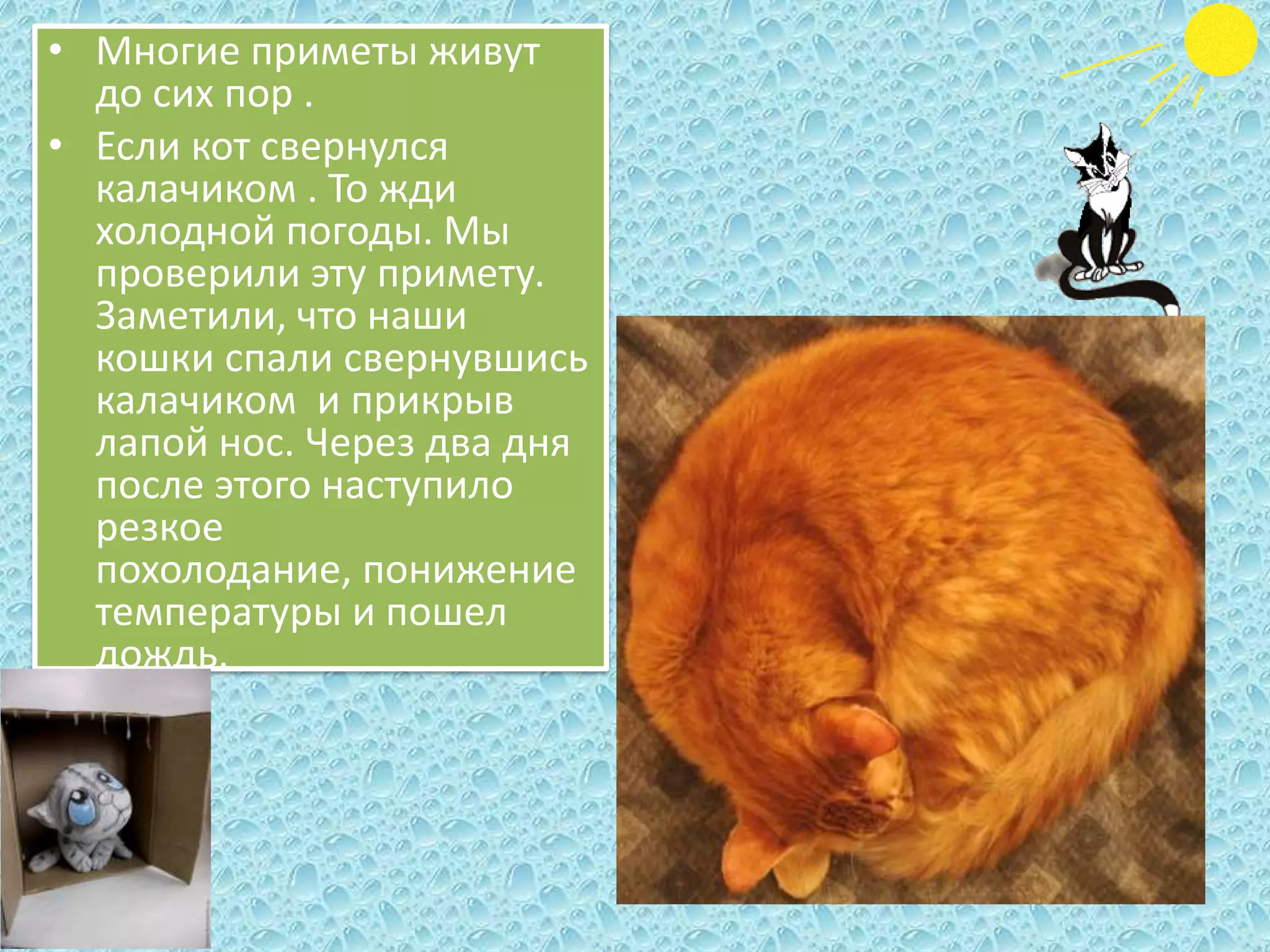 • Многие приметы живут
до сих пор .
• Если кот свернулся
калачиком . То жди
холодной погоды. Мы
проверили эту примету.
Заметили, что наши
кошки спали свернувшись
калачиком и прикрыв
лапой нос. Через два дня
после этого наступило
резкое
похолодание, понижение
температуры и пошел
дождь.

 