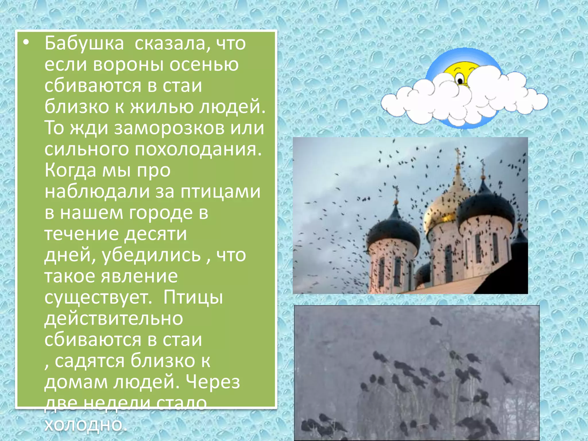 • Бабушка сказала, что
если вороны осенью
сбиваются в стаи
близко к жилью людей.
То жди заморозков или
сильного похолодания.
Когда мы про
наблюдали за птицами
в нашем городе в
течение десяти
дней, убедились , что
такое явление
существует. Птицы
действительно
сбиваются в стаи
, садятся близко к
домам людей. Через
две недели стало
холодно.

 