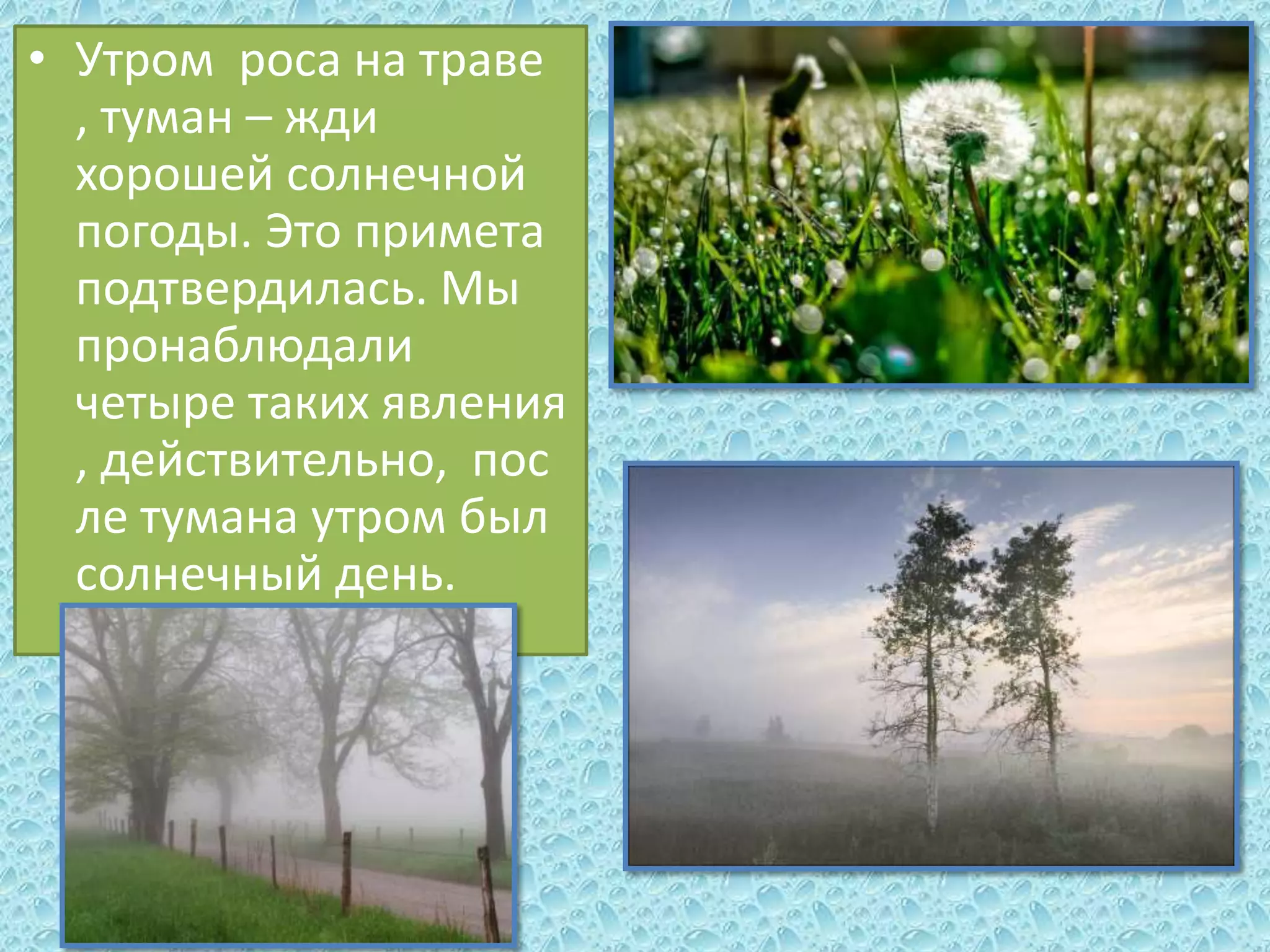 • Утром роса на траве
, туман – жди
хорошей солнечной
погоды. Это примета
подтвердилась. Мы
пронаблюдали
четыре таких явления
, действительно, пос
ле тумана утром был
солнечный день.

 