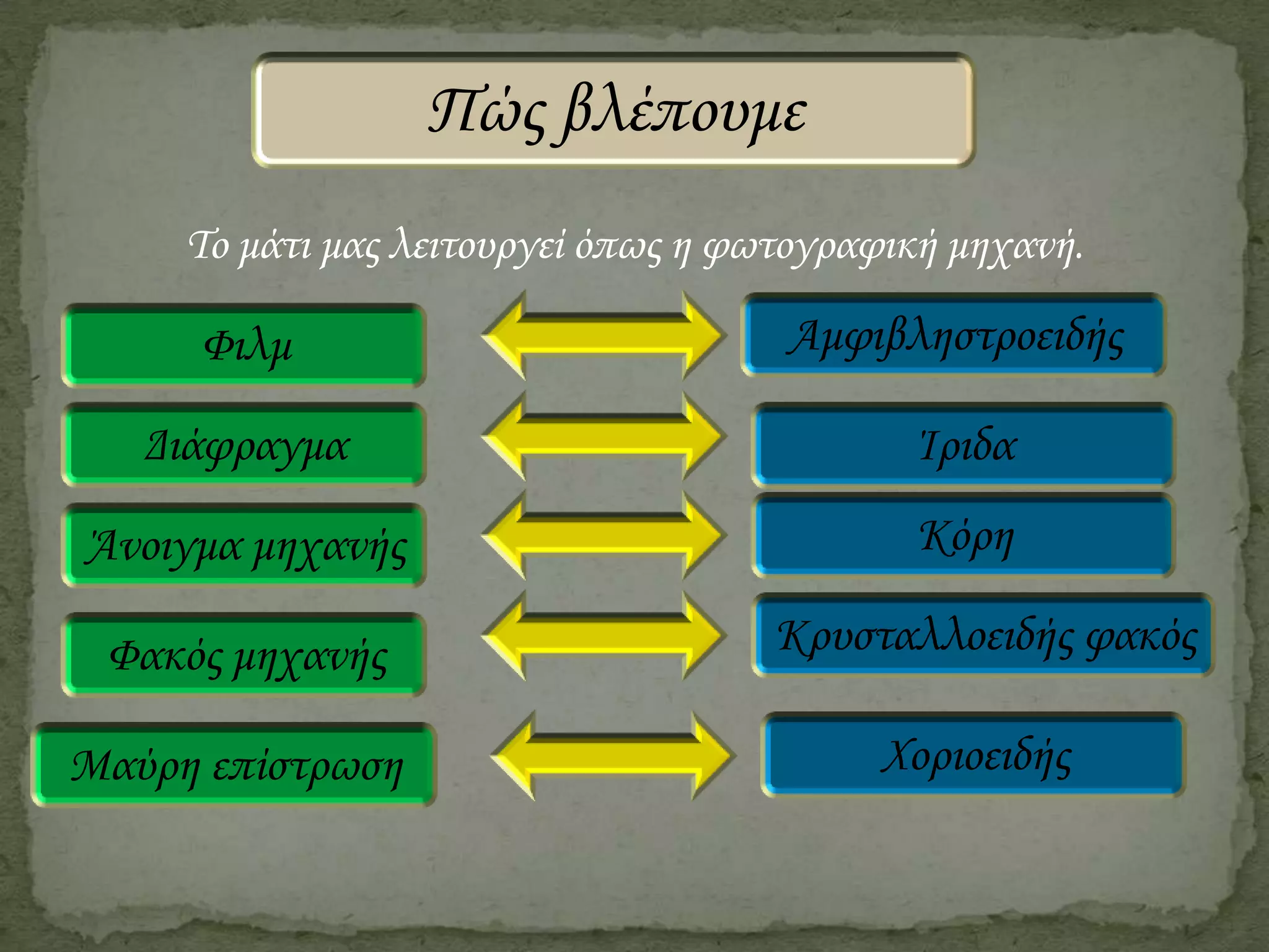 Πώς βλέπουμε
Το μάτι μας λειτουργεί όπως η φωτογραφική μηχανή.

Φιλμ

Αμφιβληστροειδής

Διάφραγμα

Ίριδα

Άνοιγμα μηχανής

Κόρη

Φακός μηχανής

Κρυσταλλοειδής φακός

Μαύρη επίστρωση

Χοριοειδής

 