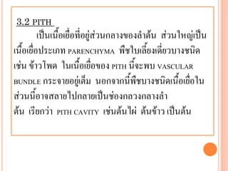 3.2 PITH

เป็นเนื้อเยื่อที่อยู่ส่วนกลางของลาต้น ส่วนใหญ่เป็น
เนื้อเยื่อประเภท PARENCHYMA พืชใบเลี้ยงเดี่ยวบางชนิด
เช่น ข้าวโพด ในเนื้อเยื่อของ PITH นี้จะพบ VASCULAR
BUNDLE กระจายอยู่เต็ม นอกจากนี้พืชบางชนิดเนื้อเยื่อใน
ส่วนนี้อาจสลายไปกลายเป็นช่องกลวงกลางลา
ต้น เรียกว่า PITH CAVITY เช่นต้นไผ่ ต้นข้าว เป็นต้น

 