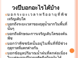 บ

วงปี บอกอะไรไดบาง
้ ้

อ ก ร ะ ย ะ เ ว ล า ห รื อ อ า ยุ ที่ พื ช
เจริญเติบโต
บอกถึงระยะเวลาของฤดูน้ามากในพืนที่
้
นั้นๆ
บอกถึงลักษณะการเจริญเติบโตของต้น
พืช
บอกว ่ าพืช ชนิ ด นั้ น อยู่ ในพื้น ที่ท ี่ม ีช่ วง
ฤดูกาลทีแตกตางกัน
่
่
บอกข้ อมู ล ปริม าณน้ า ฝนที่ต กต ่ อเนื่ อ ง

 