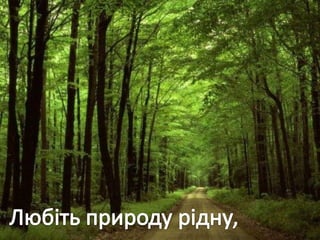 Учнівська презентація (Групи учнів 8 загального та спеціального класів)