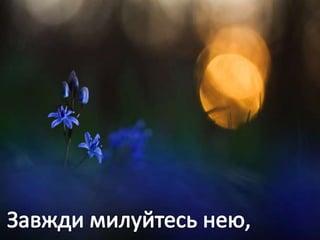 Учнівська презентація (Групи учнів 8 загального та спеціального класів)