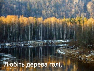 Учнівська презентація (Групи учнів 8 загального та спеціального класів)