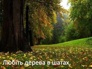Учнівська презентація (Групи учнів 8 загального та спеціального класів)