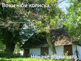 Учнівська презентація (Групи учнів 8 загального та спеціального класів)