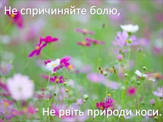 Учнівська презентація (Групи учнів 8 загального та спеціального класів)