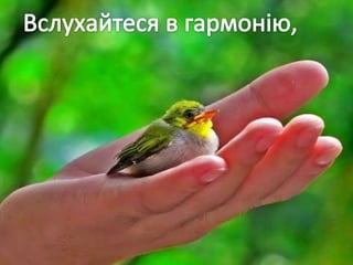 Учнівська презентація (Групи учнів 8 загального та спеціального класів)