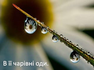 Учнівська презентація (Групи учнів 8 загального та спеціального класів)