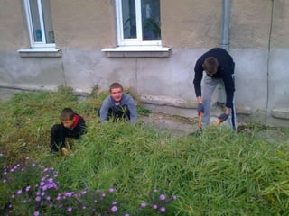 Учнівська презентація (Групи учнів 8 загального та спеціального класів)