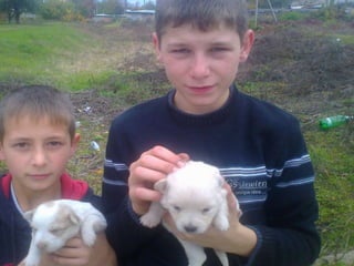 Учнівська презентація (Групи учнів 8 загального та спеціального класів)