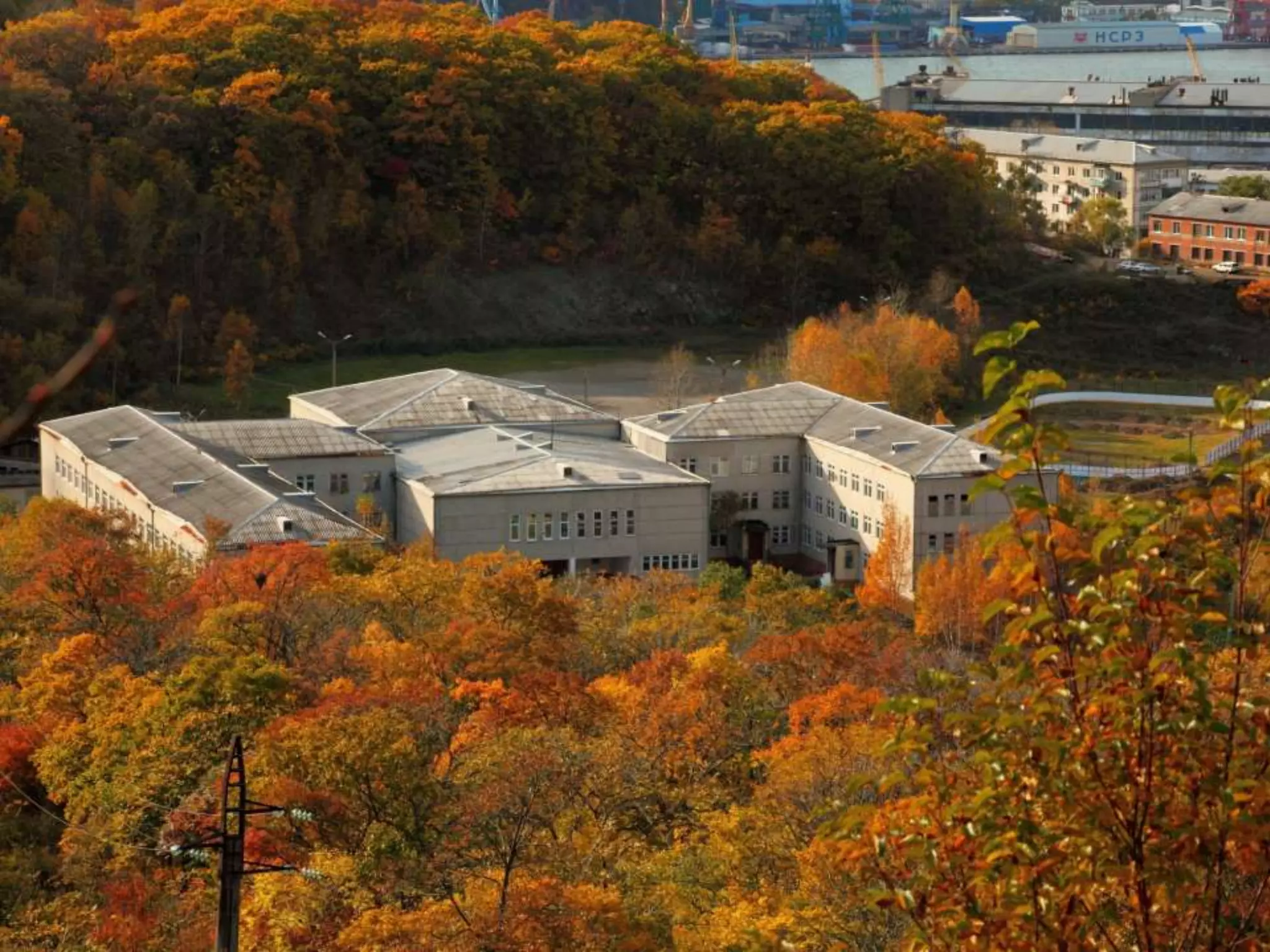 Школа «Полюс» находится в живописном
экологически чистом районе

 