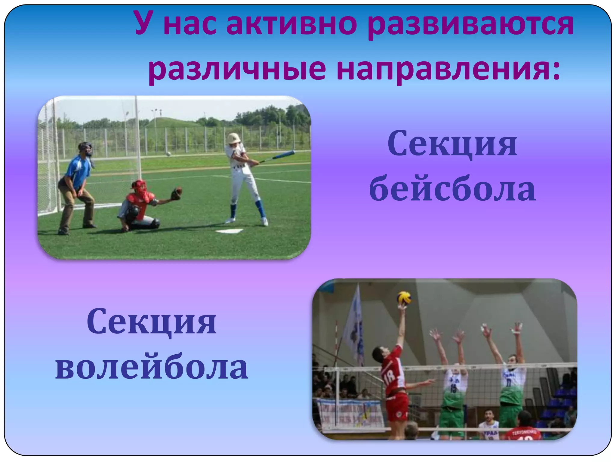 У нас активно развиваются
различные направления:
Секция
бейсбола
Секция
волейбола

 