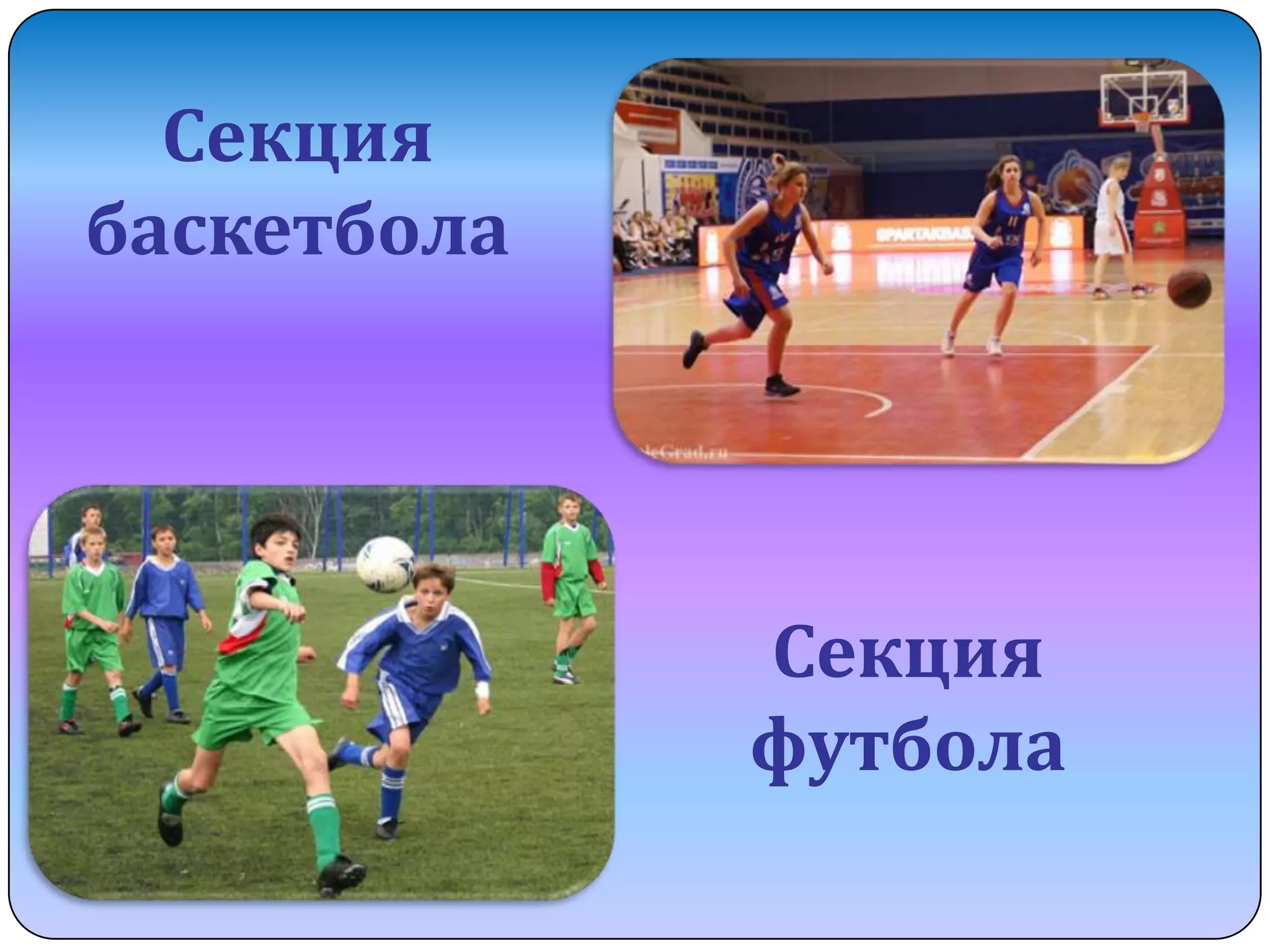 Секция
баскетбола

Секция
футбола

 