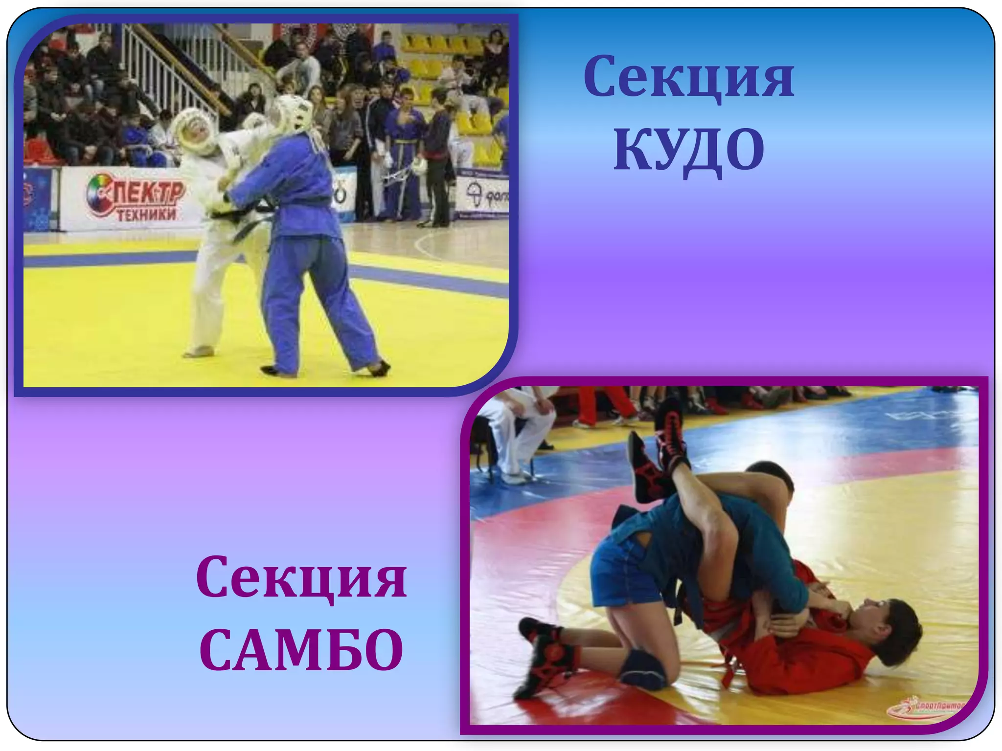 Секция
КУДО

Секция
САМБО

 