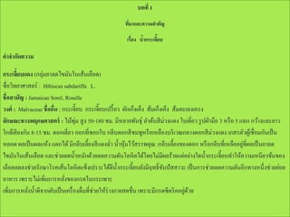 บทที่ 1
ทีมาและความสาคัญ
่
เรื่อง นากระเจี๊ยบ
้

คาจากัดความ

กระเจียบแดง (กลุ่มยาลดไขมันในเส้นเลือด)
๋
ชื่อวิทยาศาสตร์ : Hibiscus sabdariffa L.
ชื่อสามัญ : Jamaican Sorel, Roselle
วงศ์ : Malvaceae ชื่ออืน : กระเจี๊ยบ กระเจี๊ยบเปรี้ ยว ผักเก็งเค็ง ส้มเก็งเค็ง ส้มตะเลงเครง
่
ลักษณะทางพฤกษศาสตร์ : ไม้พม สู ง 50-180 ซม. มีหลายพันธุ์ ลาต้นสี ม่วงแดง ใบเดี่ยว รู ปฝ่ ามือ 3 หรื อ 5 แฉก กว้างและยาว
ุ่
ใกล้เคียงกัน 8-15 ซม. ดอกเดี่ยว ออกที่ซอกใบ กลีบดอกสี ชมพูหรื อเหลืองบริ เวณกลางดอกสี ม่วงแดง เกสรตัวผูเ้ ชื่อมกันเป็ น
่
หลอด ผลเป็ นผลแห้ง แตกได้ มีกลีบเลี้ยงสี แดงฉ่ า น้ าหุมไว้สรรพคุณ :กลีบเลี้ยงของดอก หรื อกลีบที่เหลืออยูที่ผลเป็ นยาลด
้
ไขมันในเส้นเลือด และช่วยลดน้ าหนักด้วยลดความดันโลหิตได้โดยไม่มีผลร้ายแต่อย่างใดน้ ากระเจี๊ยบทาให้ความเหนียวข้นของ
เลือดลดลงช่วยรักษาโรคเส้นโลหิตแข็งเปราะได้ดีน้ ากระเจี๊ยบยังมีฤทธิ์ขบปัสสาวะ เป็ นการช่วยลดความดันอีกทางหนึ่งช่วยย่อย
ั
อาหาร เพราะไม่เพิ่มการหลังของกรดในกระเพาะ
่
่ ้
เพิมการหลังน้ าดีจากตับเป็ นเครื่ องดื่มที่ช่วยให้ร่างกายสดชื่น เพราะมีกรดซีตริ คอยูดวย
่
่

 