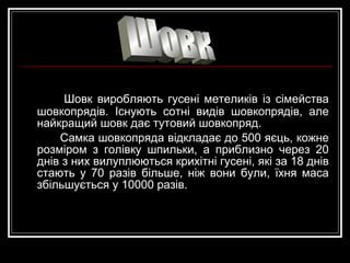 Шовк виробляють гусені метеликів із сімейства
шовкопрядів. Існують сотні видів шовкопрядів, але
найкращий шовк дає тутовий шовкопряд.
Самка шовкопряда відкладає до 500 яєць, кожне
розміром з голівку шпильки, а приблизно через 20
днів з них вилуплюються крихітні гусені, які за 18 днів
стають у 70 разів більше, ніж вони були, їхня маса
збільшується у 10000 разів.

 