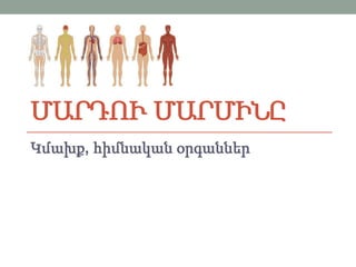 ՄԱՐԴՈՒ ՄԱՐՄԻՆԸ
Կմախք, հիմնական օրգաններ

 