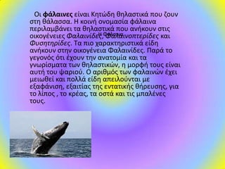 Οι φάλαινες είναι Κθτϊδθ κθλαςτικά που ηουν
ςτθ κάλαςςα. Η κοινι ονομαςία φάλαινα
περιλαμβάνει τα κθλαςτικά που ανικουν ςτισ
Η Φαλαινοπτερίδεσ και
οικογζνειεσ Φαλαινίδεσ,Φάλαινα
Φυςητηρίδεσ. Τα πιο χαρακτθριςτικά είδθ
ανικουν ςτθν οικογζνεια Φαλαινίδεσ. Παρά το
γεγονόσ ότι ζχουν τθν ανατομία και τα
γνωρίςματα των κθλαςτικϊν, θ μορφι τουσ είναι
αυτι του ψαριοφ. Ο αρικμόσ των φαλαινϊν ζχει
μειωκεί και πολλά είδθ απειλοφνται με
εξαφάνιςθ, εξαιτίασ τθσ εντατικισ κιρευςθσ, για
το λίποσ , το κρζασ, τα οςτά και τισ μπαλζνεσ
τουσ.

 