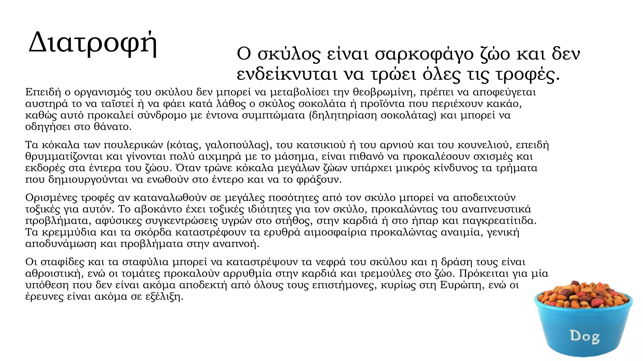 Διατροφή

Ο σκύλος είναι σαρκοφάγο ζώο και δεν
ενδείκνυται να τρώει όλες τις τροφές.

Επειδή ο οργανισμός του σκύλου δεν μπορεί να μεταβολίσει την θεοβρωμίνη, πρέπει να αποφεύγεται
αυστηρά το να ταϊστεί ή να φάει κατά λάθος ο σκύλος σοκολάτα ή προϊόντα που περιέχουν κακάο,
καθώς αυτό προκαλεί σύνδρομο με έντονα συμπτώματα (δηλητηρίαση σοκολάτας) και μπορεί να
οδηγήσει στο θάνατο.
Τα κόκαλα των πουλερικών (κότας, γαλοπούλας), του κατσικιού ή του αρνιού και του κουνελιού, επειδή
θρυμματίζονται και γίνονται πολύ αιχμηρά με το μάσημα, είναι πιθανό να προκαλέσουν σχισμές και
εκδορές στα έντερα του ζώου. Όταν τρώνε κόκαλα μεγάλων ζώων υπάρχει μικρός κίνδυνος τα τρήματα
που δημιουργούνται να ενωθούν στο έντερο και να το φράξουν.
Ορισμένες τροφές αν καταναλωθούν σε μεγάλες ποσότητες από τον σκύλο μπορεί να αποδειχτούν
τοξικές για αυτόν. Το αβοκάντο έχει τοξικές ιδιότητες για τον σκύλο, προκαλώντας του αναπνευστικά
προβλήματα, αφύσικες συγκεντρώσεις υγρών στο στήθος, στην καρδιά ή στο ήπαρ και παγκρεατίτιδα.
Τα κρεμμύδια και τα σκόρδα καταστρέφουν τα ερυθρά αιμοσφαίρια προκαλώντας αναιμία, γενική
αποδυνάμωση και προβλήματα στην αναπνοή.
Οι σταφίδες και τα σταφύλια μπορεί να καταστρέψουν τα νεφρά του σκύλου και η δράση τους είναι
αθροιστική, ενώ οι τομάτες προκαλούν αρρυθμία στην καρδιά και τρεμούλες στο ζώο. Πρόκειται για μία
υπόθεση που δεν είναι ακόμα αποδεκτή από όλους τους επιστήμονες, κυρίως στη Ευρώπη, ενώ οι
έρευνες είναι ακόμα σε εξέλιξη.

 