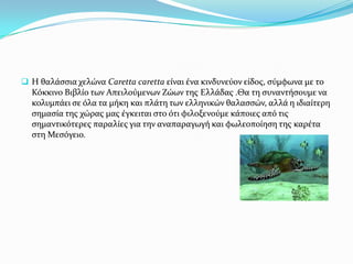  Η θαλϊςςια χελώνα Caretta caretta εύναι ϋνα κινδυνεύον εύδοσ, ςύμφωνα με το

Κόκκινο Βιβλύο των Απειλούμενων Ζώων τησ Ελλϊδασ .Θα τη ςυναντόςουμε να
κολυμπϊει ςε όλα τα μόκη και πλϊτη των ελληνικών θαλαςςών, αλλϊ η ιδιαύτερη
ςημαςύα τησ χώρασ μασ ϋγκειται ςτο ότι φιλοξενούμε κϊποιεσ από τισ
ςημαντικότερεσ παραλύεσ για την αναπαραγωγό και φωλεοπούηςη τησ καρϋτα
ςτη Μεςόγειο.

 