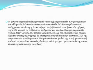  Η χελώνα καρϋτα εύναι ύςωσ ϋνα από τα πιο εμβληματικϊ εύδη των μεςογειακών

και ελληνικών θαλαςςών και ϋνα από τα επτϊ εύδη θαλϊςςιων χελωνών που
υπϊρχουν ςτον πλανότη. Αν καταφϋρει να ξεφύγει από τουσ φυςικούσ εχθρούσ
τησ αλλϊ και από τισ ανθρώπινεσ επιδρϊςεισ και απειλϋσ, θα ζόςει περύπου 80
χρόνια. Όταν μεγαλώςει, περύπου μετϊ από δύο ϋωσ τρεισ δεκαετύεσ και ϋρθει η
ώρα τησ αναπαραγωγόσ τησ, θα επιςτρϋψει ςτην ύδια περιοχό και θα επιλϋξει την
παραλύα όπου γεννόθηκε και η ύδια για να κϊνει τη φωλιϊ τησ. Αυτό η επιςτροφό
καθιςτϊ τισ παραλύεσ ωοτοκύασ ιδιαύτερα πολύτιμεσ για την προςταςύα τησ και τη
δυνατότητα διαιώνιςησ του εύδουσ.

 