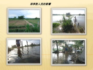 雨季對人民的影響

 